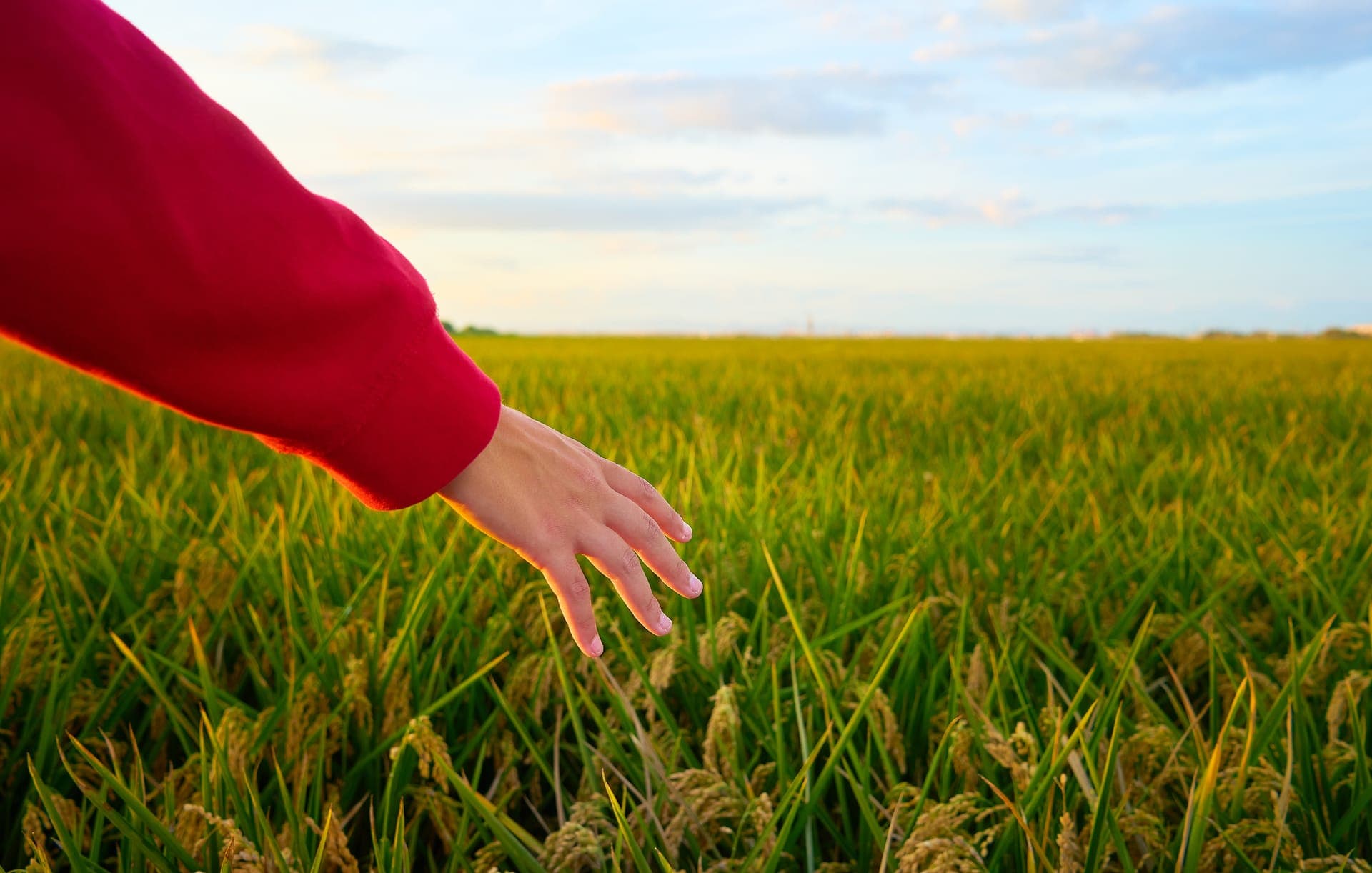 Innovative. Plant-Based. Regenerative.